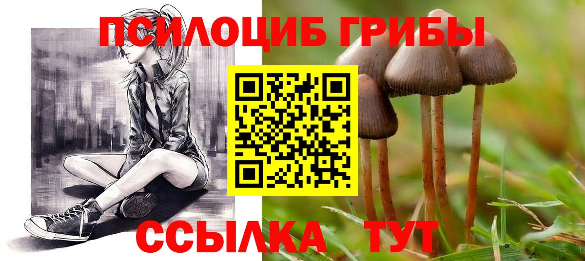 Псилоцибиновые грибы ЛСД  Вход с VPN  где найти   Лесосибирск  Галлюциногенные грибы Cubensis 