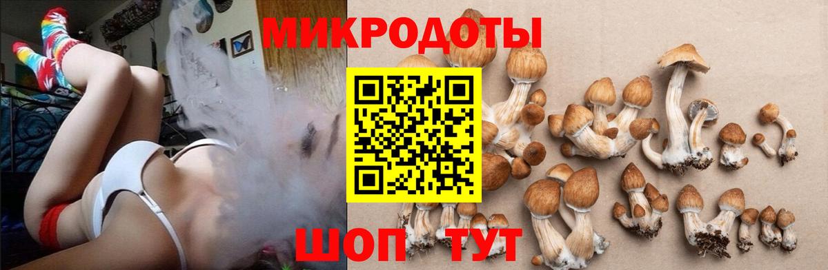 Галлюциногенные грибы GOLDEN TEACHER Лесосибирск