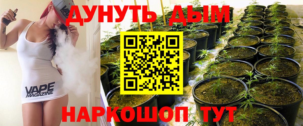 Лесосибирск  МАРИХУАНА семена  Канабис MAZAR  МАРИХУАНА VHQ  Вход с VPN 
